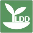 Onfarm Thai LDD Onfarm Thai LDD