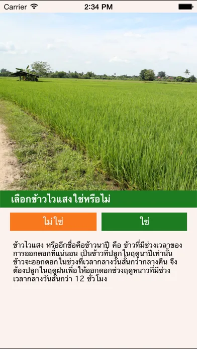 Onfarm Thai LDD Ekran Görüntüleri