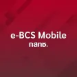 e-BCS