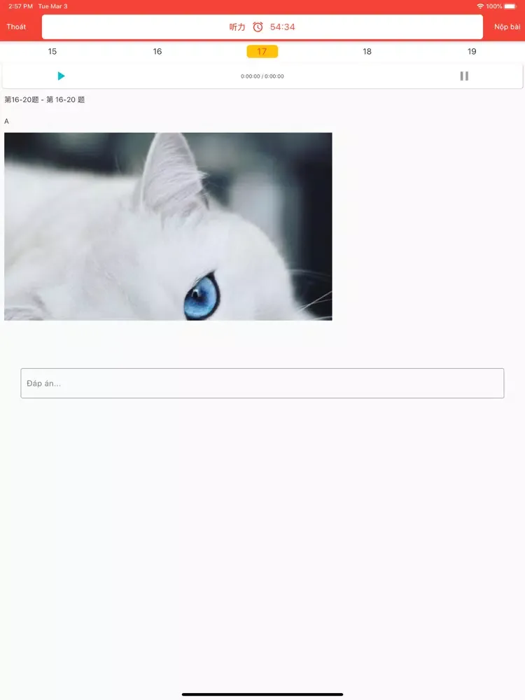 Thanhmai HSK Online iPad 应用截图