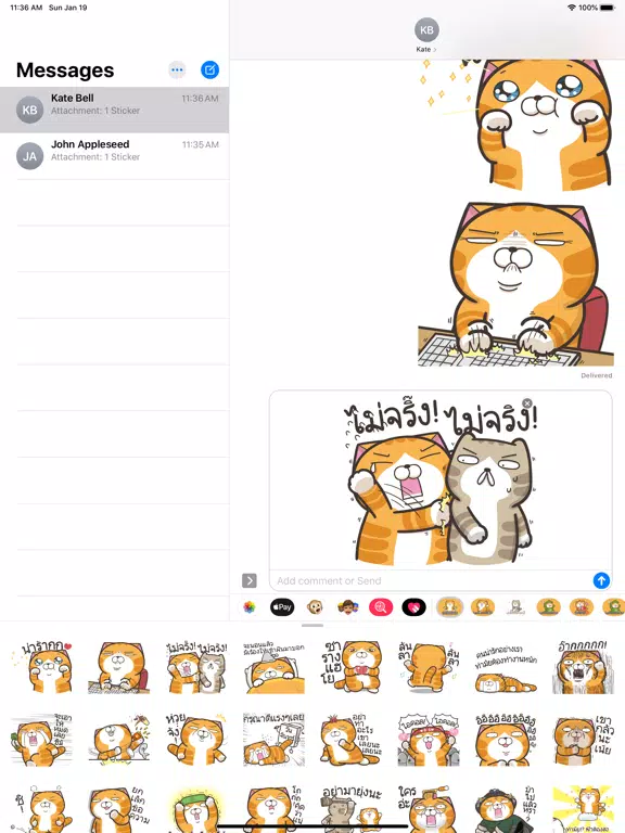 Lan Lan Cat 13 (Thailand) iPad  Screenshots