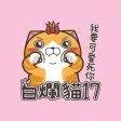 白爛貓17 - 三八阿花一朵花