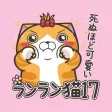 ランラン猫 17 (JP)