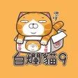 Lan Lan Cat 9