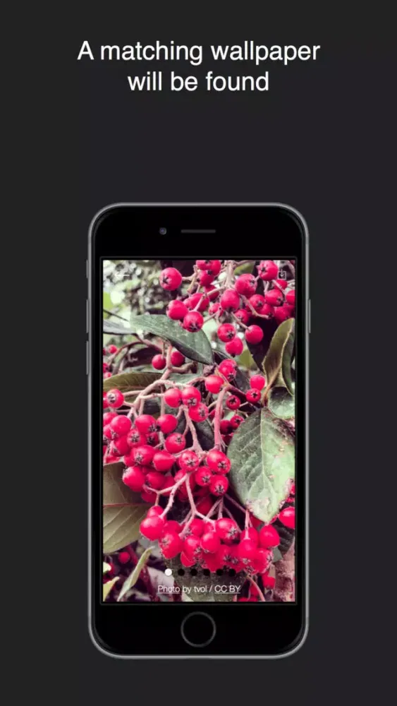 watchPapers — wallpapers for iPhone and Apple Watch スクリーンショット