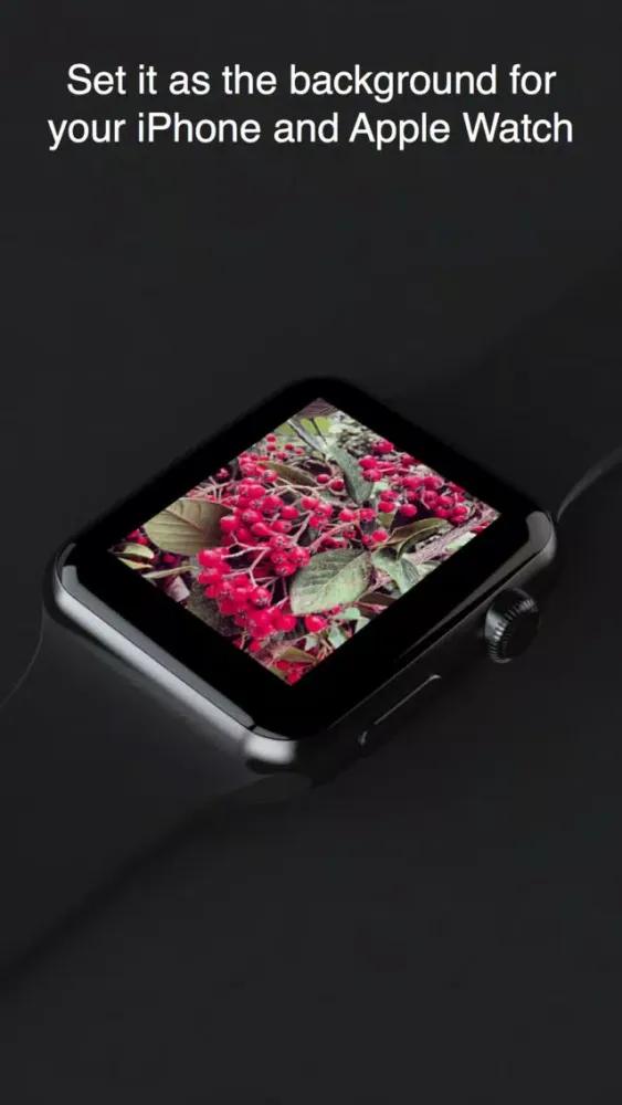 watchPapers — wallpapers for iPhone and Apple Watch スクリーンショット