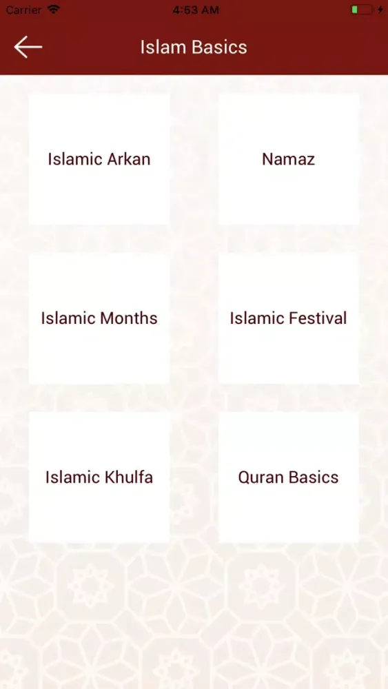 Islam Basics 2019 স্ক্রিনশট