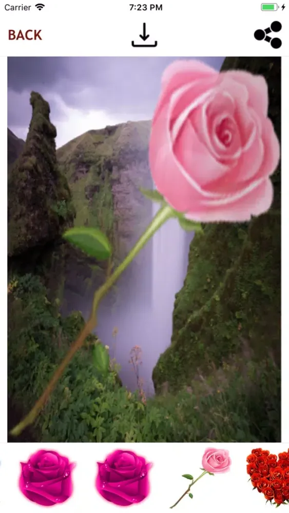 Islam Basics 2019 স্ক্রিনশট