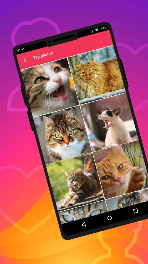 Likes and followers Screenshots