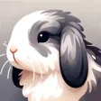 Huitai - Rabbit Care Companion