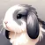Huitai - Rabbit Care Companion