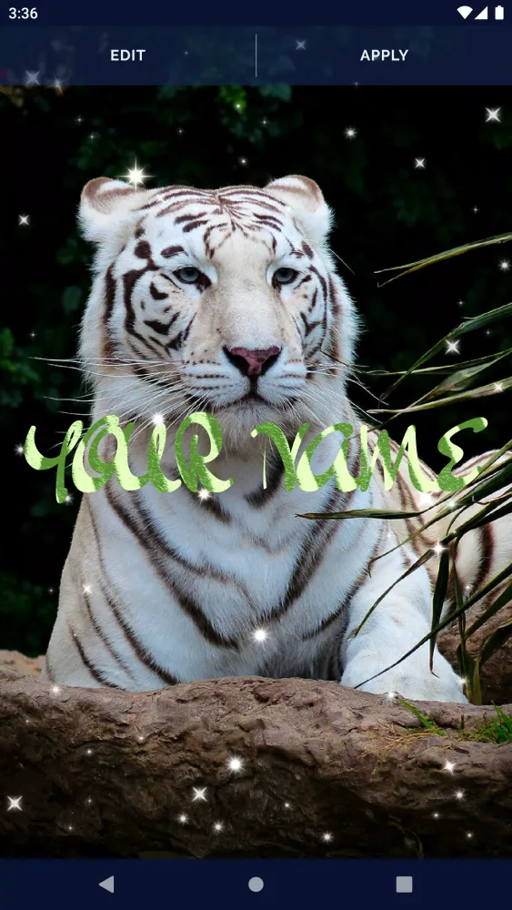 Tiger Live Wallpapers Screenshots
