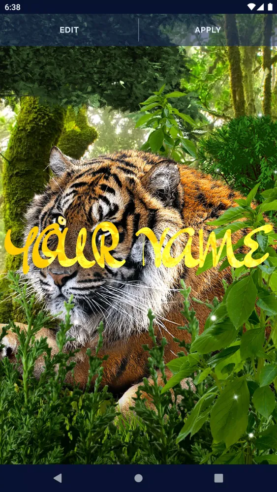 Brave Tiger Live Wallpaper Screenshots
