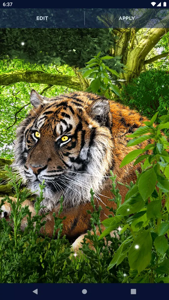 Brave Tiger Live Wallpaper Screenshots