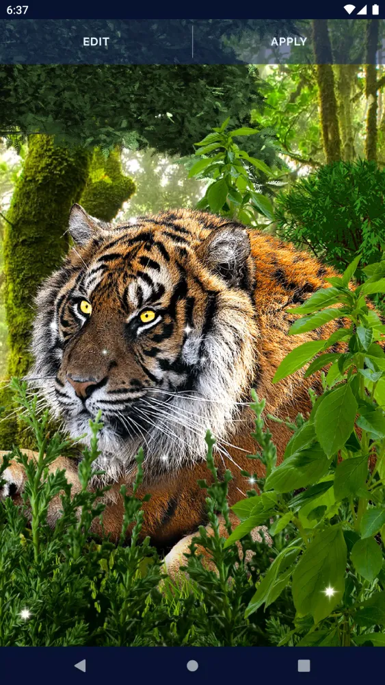 Brave Tiger Live Wallpaper Screenshots