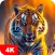 Tiger Wallpapers 4K