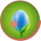 Egg Surprise: Blue Edition