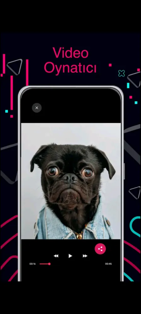 TikTok Video Downloader Screenshots