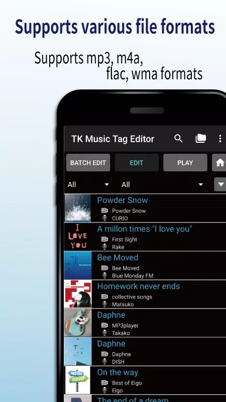 Screenshot di TK Music Tag Editor