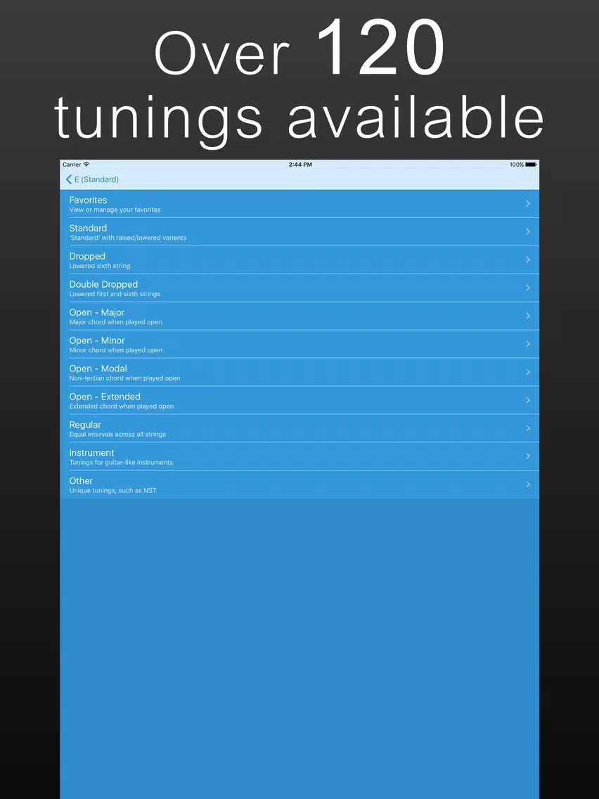Precision Guitar Tuner iPad  Screenshots