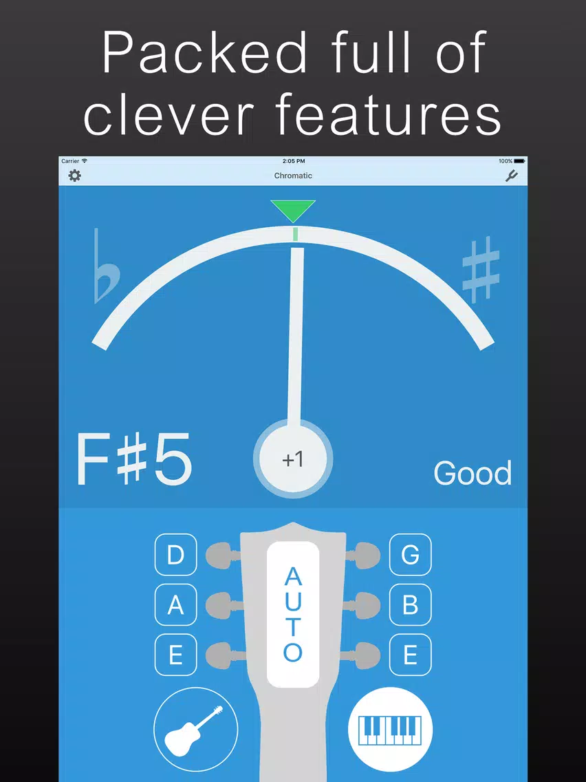 Precision Guitar Tuner iPad  Screenshots