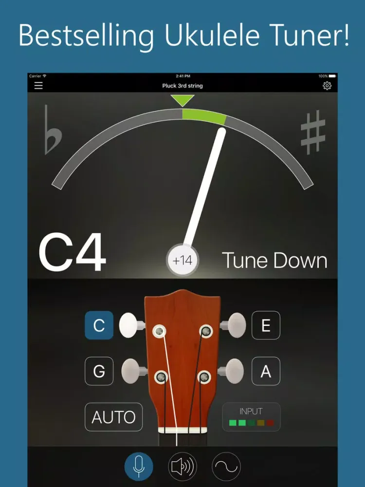 Precision Ukulele Tuner - with Chords & Metronome iPad  Screenshots