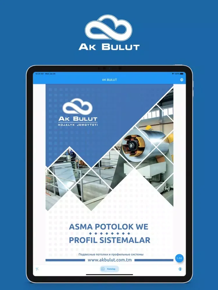 Ak Bulut iPad 应用截图