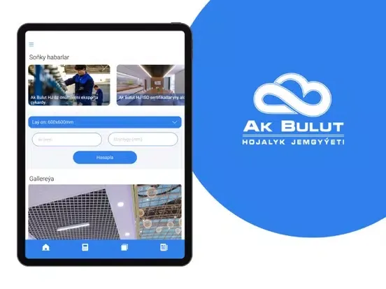 Ak Bulut iPad 應用截圖
