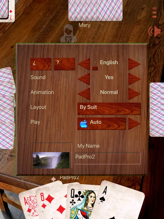 Дурак ++ iPad  Screenshots