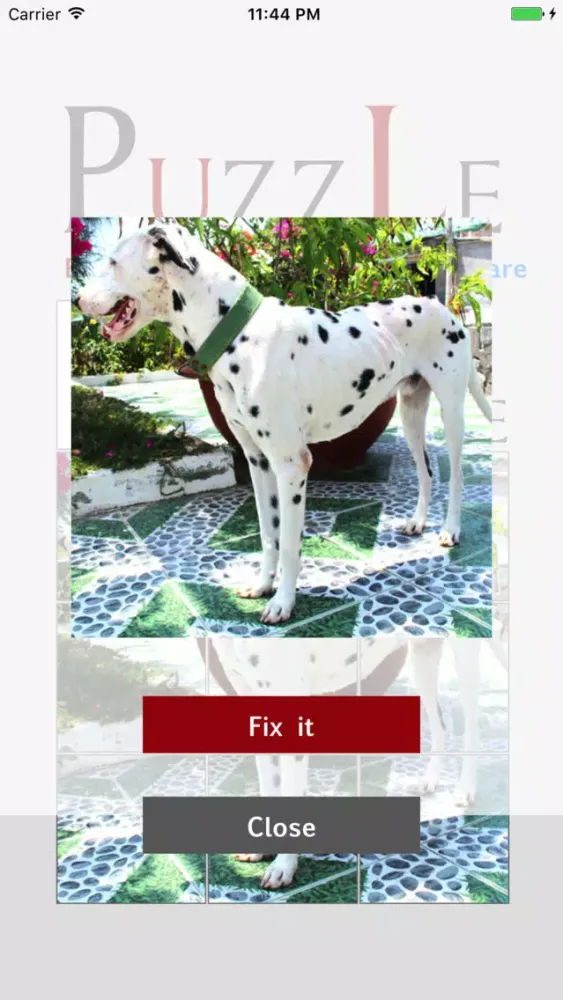 صور Puzzles Game's