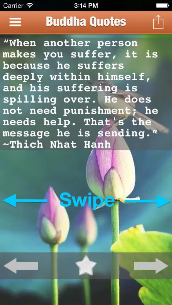 Ảnh chụp màn hình của 500+ Buddha Quotes - With beautiful wallpapers