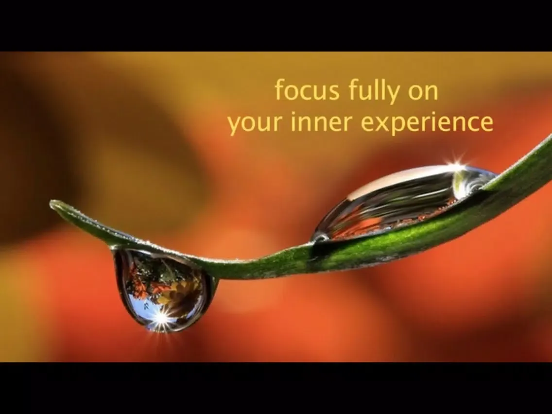Mindfully Here iPad 應用截圖