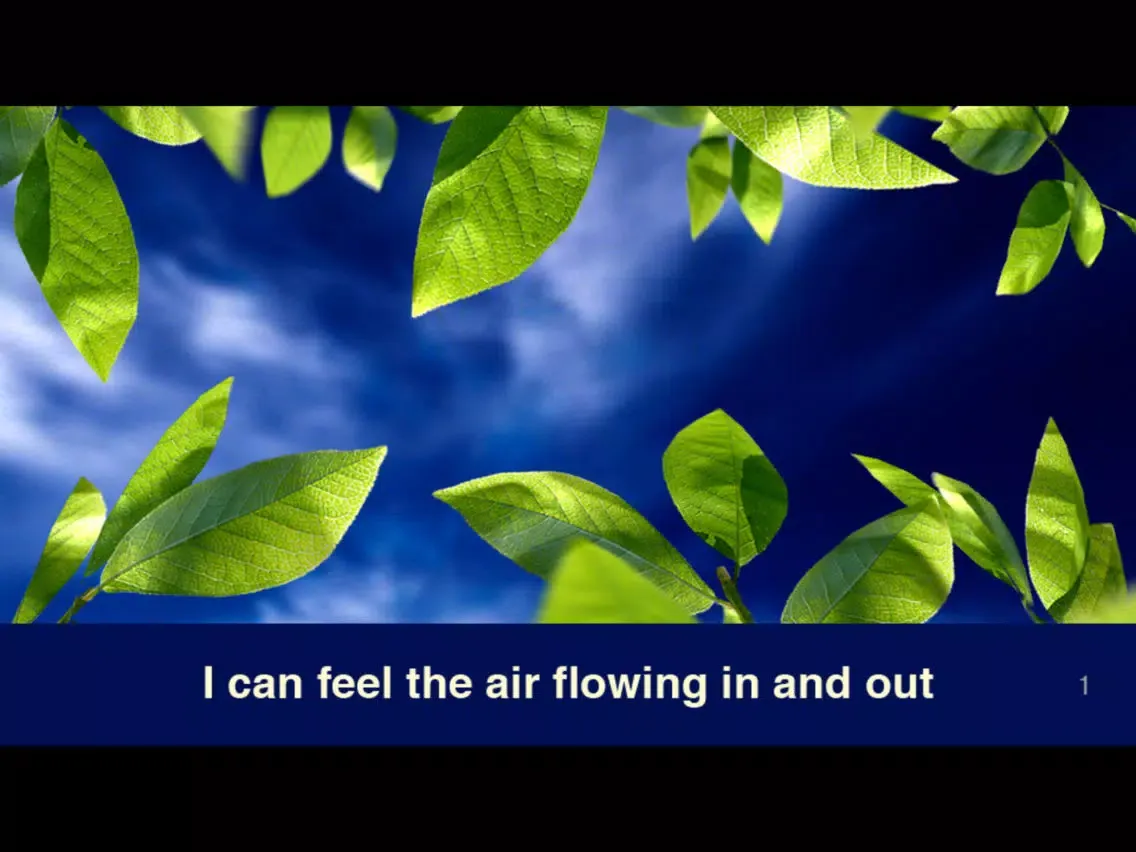 Mindfully Here iPad 應用截圖