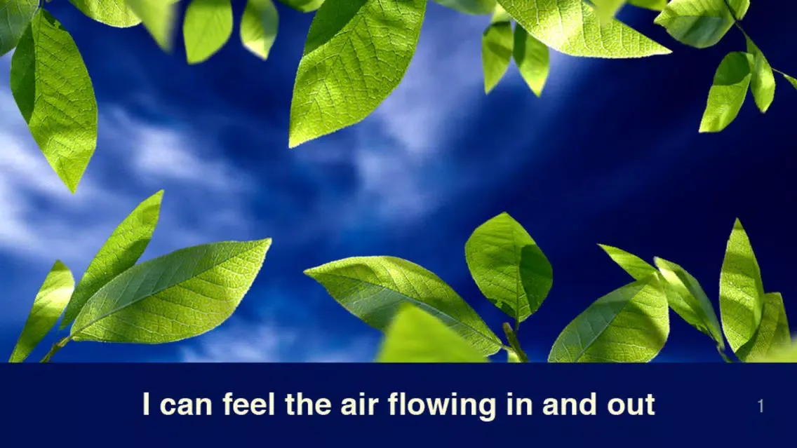 Mindfully Here應用截圖