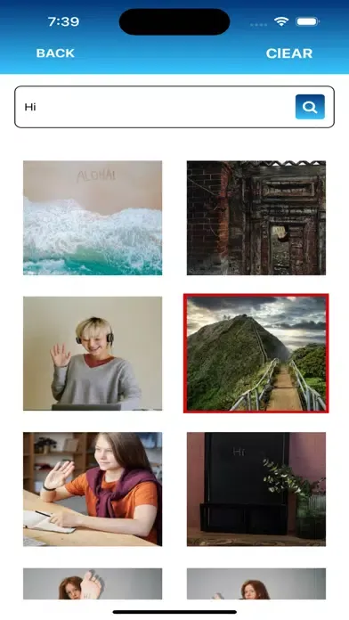 PictureIt Search Engine Ekran Görüntüleri