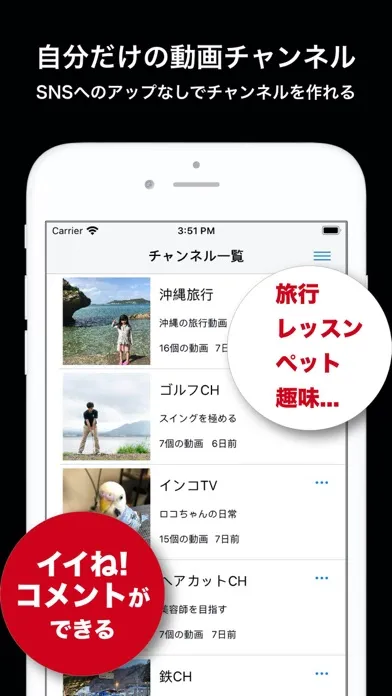 Screenshot di 動画管理SelfTube-自分だけの動画チャンネルが作れる