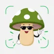 Mushroom Identifier: Sporeal