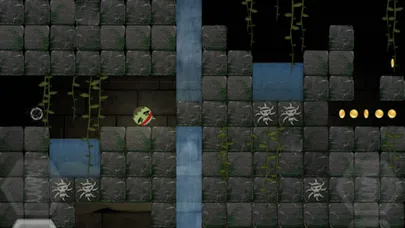 تصاویر Tomb Roller