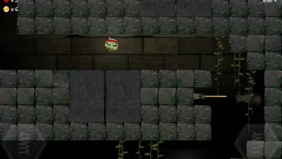 تصاویر Tomb Roller