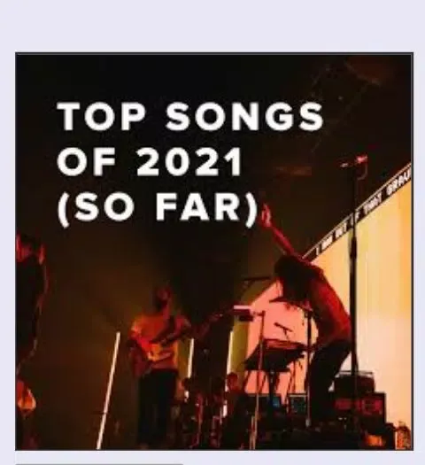 Top music downloader Ekran Görüntüleri