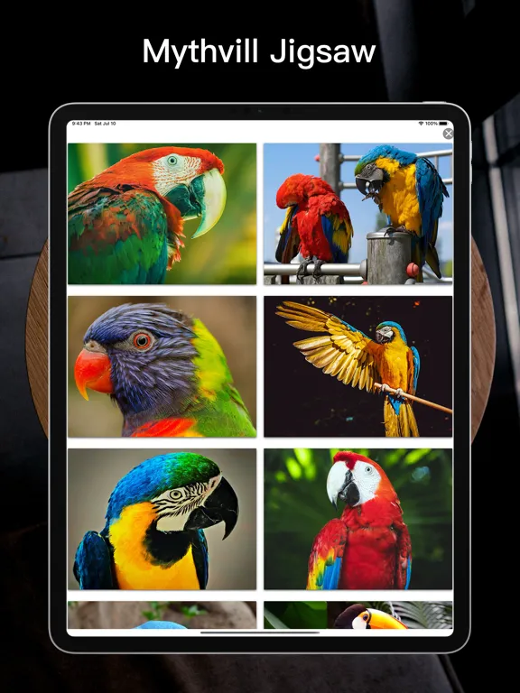 Скриншоты 美图拼图小游戏 iPad 