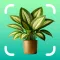 Plant Identifier: Nature ID AI
