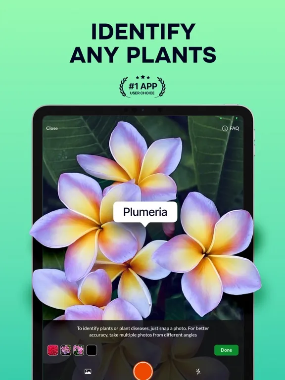 ภาพหน้าจอของ Plant Identifier: Nature ID AI iPad 