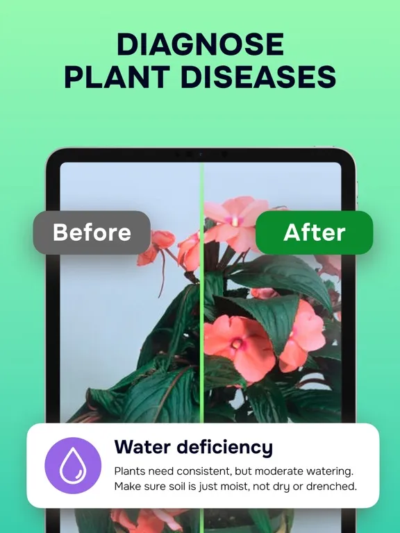 ภาพหน้าจอของ Plant Identifier: Nature ID AI iPad 
