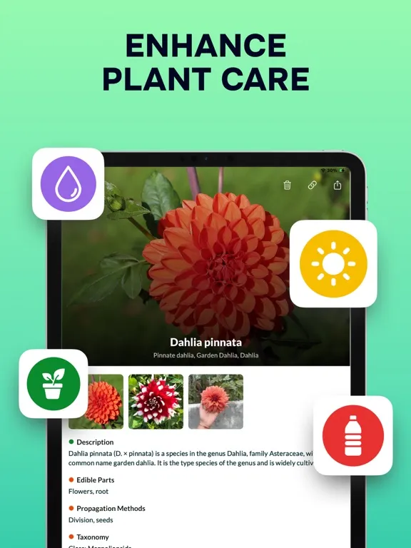 ภาพหน้าจอของ Plant Identifier: Nature ID AI iPad 