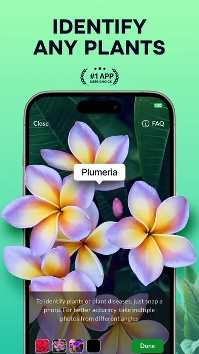 ภาพหน้าจอของ Plant Identifier: Nature ID AI