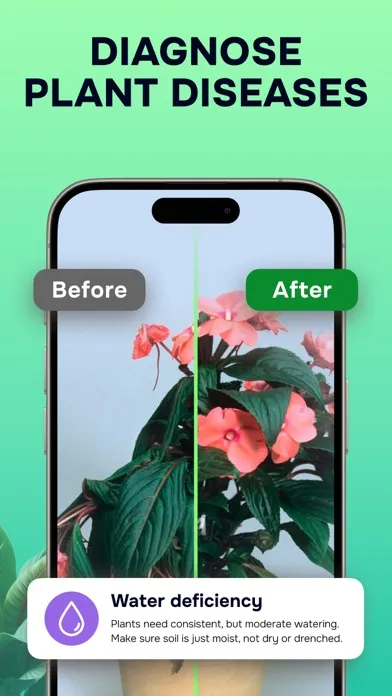 ภาพหน้าจอของ Plant Identifier: Nature ID AI