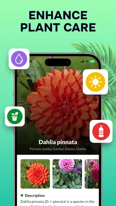 ภาพหน้าจอของ Plant Identifier: Nature ID AI