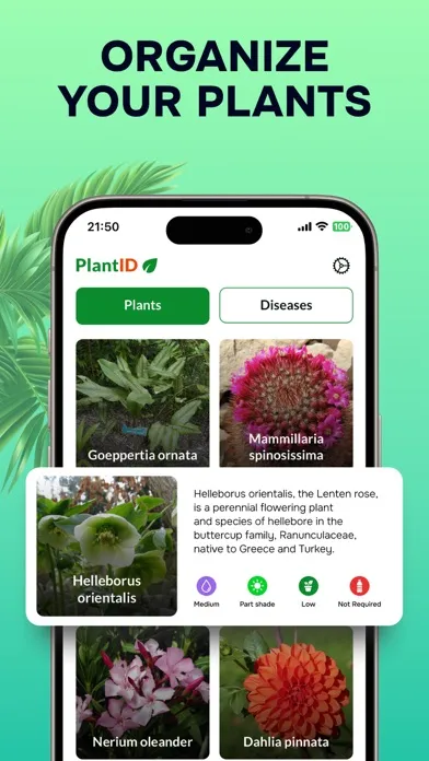 ภาพหน้าจอของ Plant Identifier: Nature ID AI