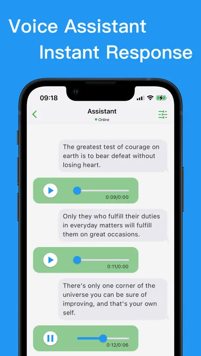 Text To Speech Assistant スクリーンショット
